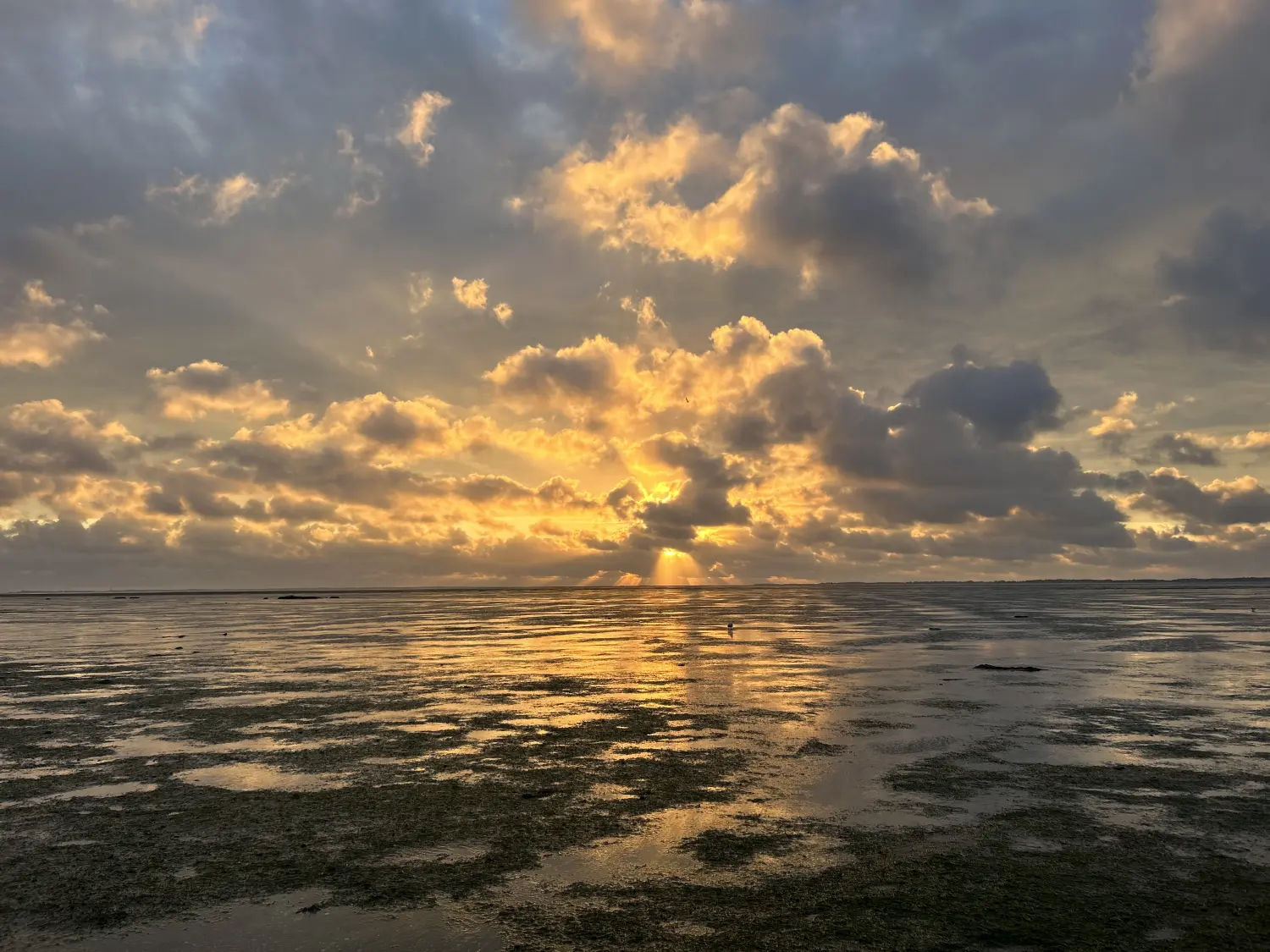 Gästehaus Nuke auf Norderhörn am Meer