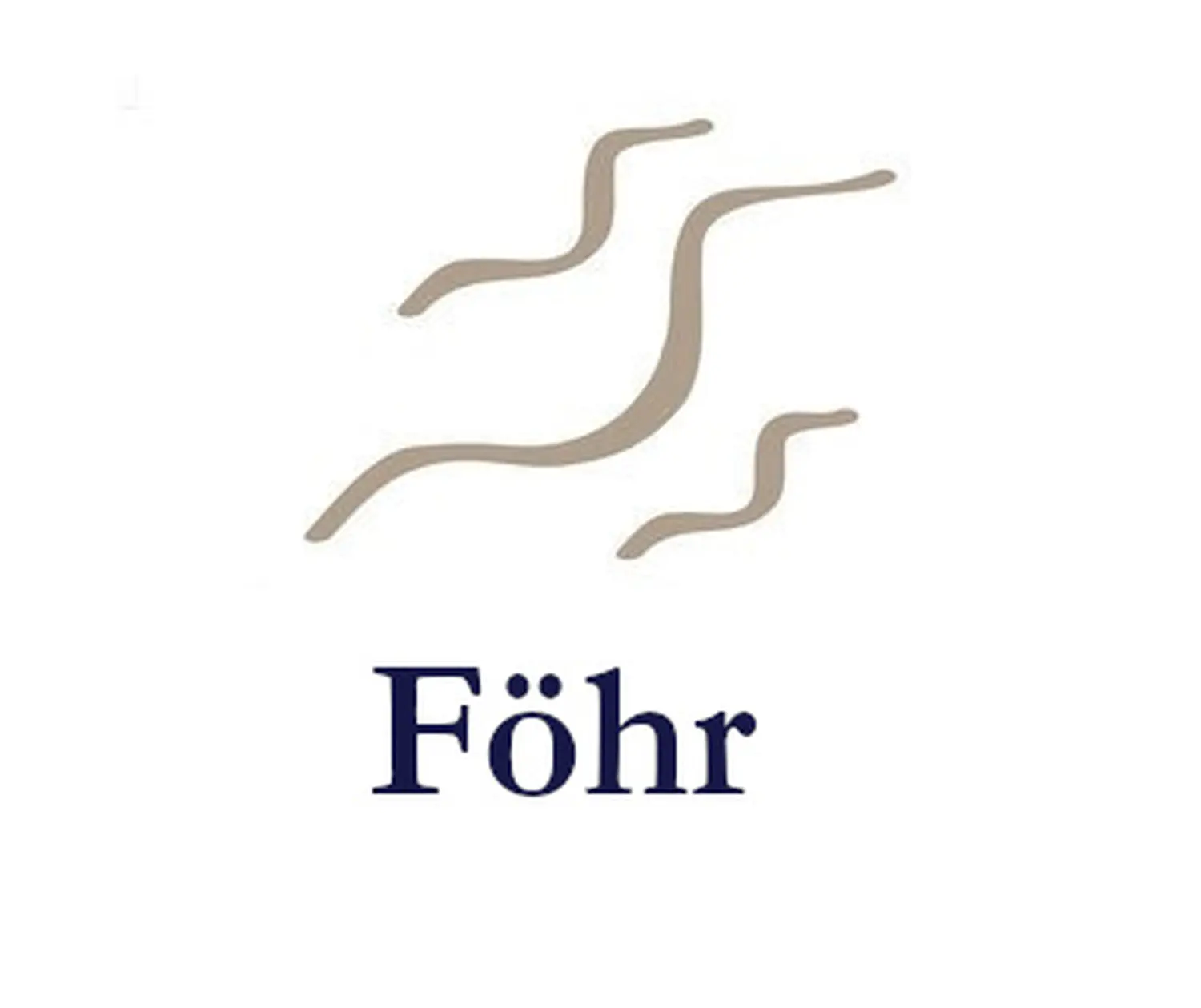 Föhr logo