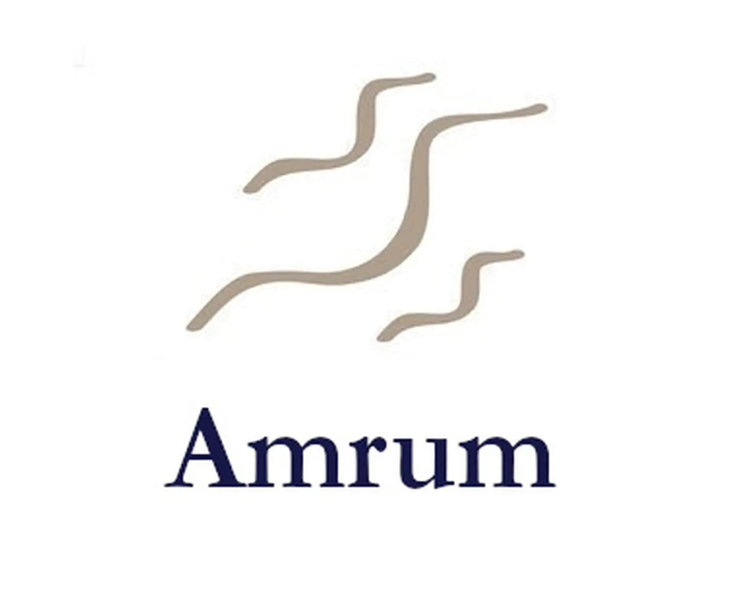 Amrum logo